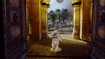 Хроники Нарнии: Принц Каспиан (Xbox 360) Игра для Xbox 360 DVD-ROM, 2008 г Издатель: Disney Interactive; Разработчик: Traveller's Tales; Дистрибьютор: Новый Диск пластиковый DVD-BOX Что делать, если программа не запускается? инфо 2941l.