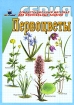 Первоцветы Издательство: Издательский Дом МСП, 2003 г Твердый переплет, 80 стр ISBN 5-7578-0176-X Тираж: 5050 экз Формат: 70x90/16 (~170х215 мм) инфо 6731l.