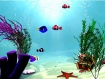 Скринсейвер: Подводный мир Компьютерная игра CD-ROM, 2008 г Издатель: Полет Навигатора; Разработчик: ValuSoft пластиковый Jewel case Что делать, если программа не запускается? инфо 8843l.