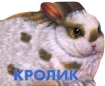 Кролик Серия: Веселые домики инфо 8877l.